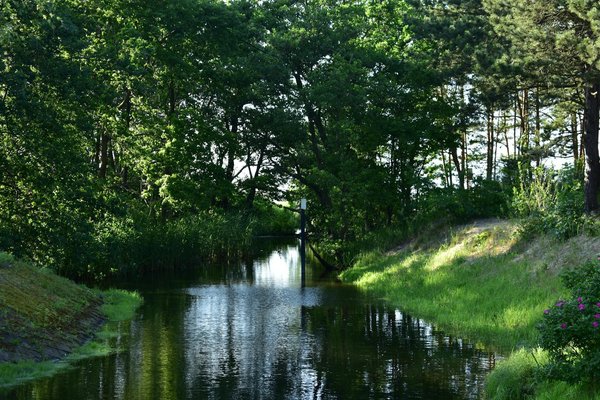 Votre dentiste à Schiltigheim : des soins pour toute la famille